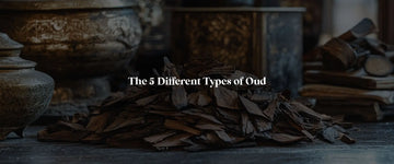 The Oud Odyssey! Find Out the 5 Different Types of Oud Fragrances