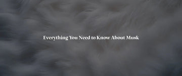 Everything You Need to Know About Musk Perfume: The Ultimate Guide - RareScents