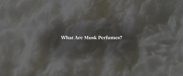 Musk Perfume Explained: Scent Profile, History, and Modern Middle Eastern Fragrances - RareScents