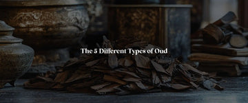 The Oud Odyssey! Find Out the 5 Different Types of Oud Fragrances - RareScents