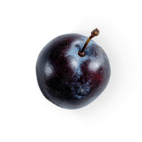 Black Plum