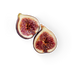 Fig